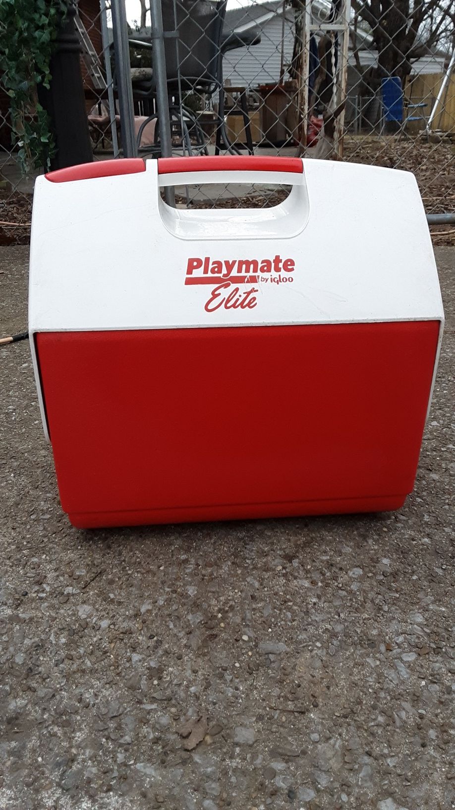 Playmate Elite Cooler by igloo