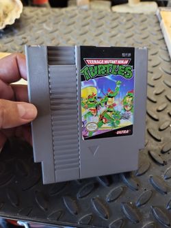 Teenage mutant ninja turtles