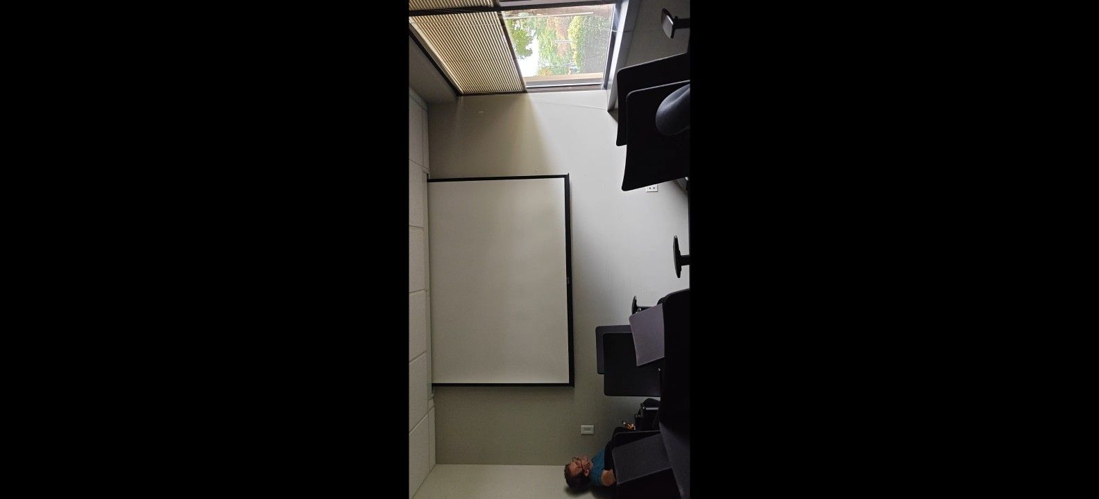 Da-lite Electric Projector Screen