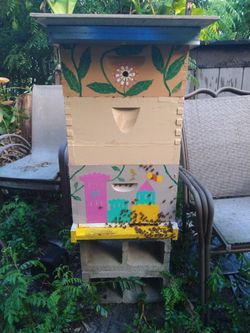 Honey Bees Hive, Beehive, Nuc, Beekeeping