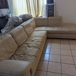 Free Sectional Couch 