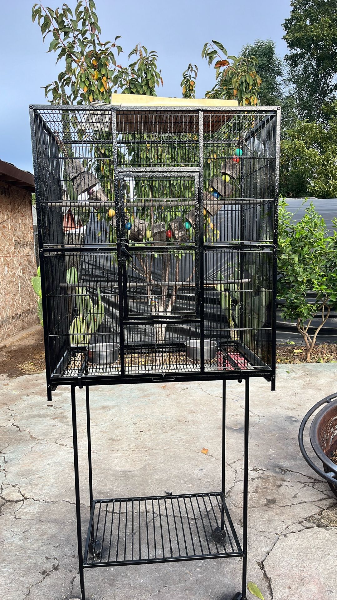 Bird Cage