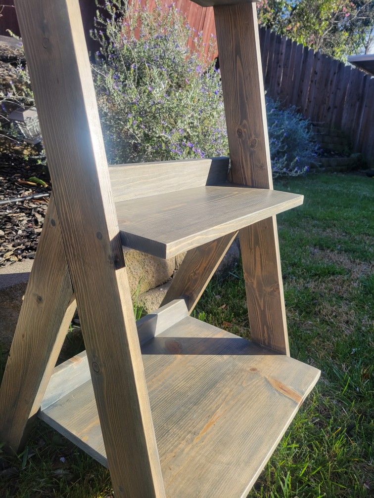 Plant/Shelf Ladder