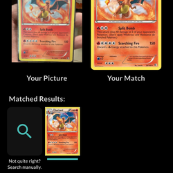 Charizard • Boundaries Crossed Pokémon
