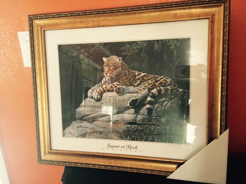 Jaguar on a rock frame