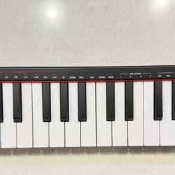 Professional Mini Midikeyboad
