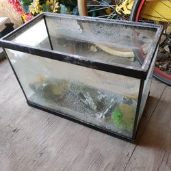 Aquarium Size W1ft.L2ft.
