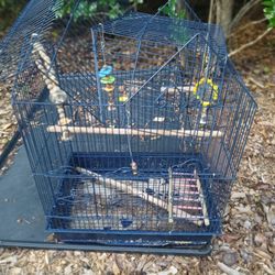 Bird Cage