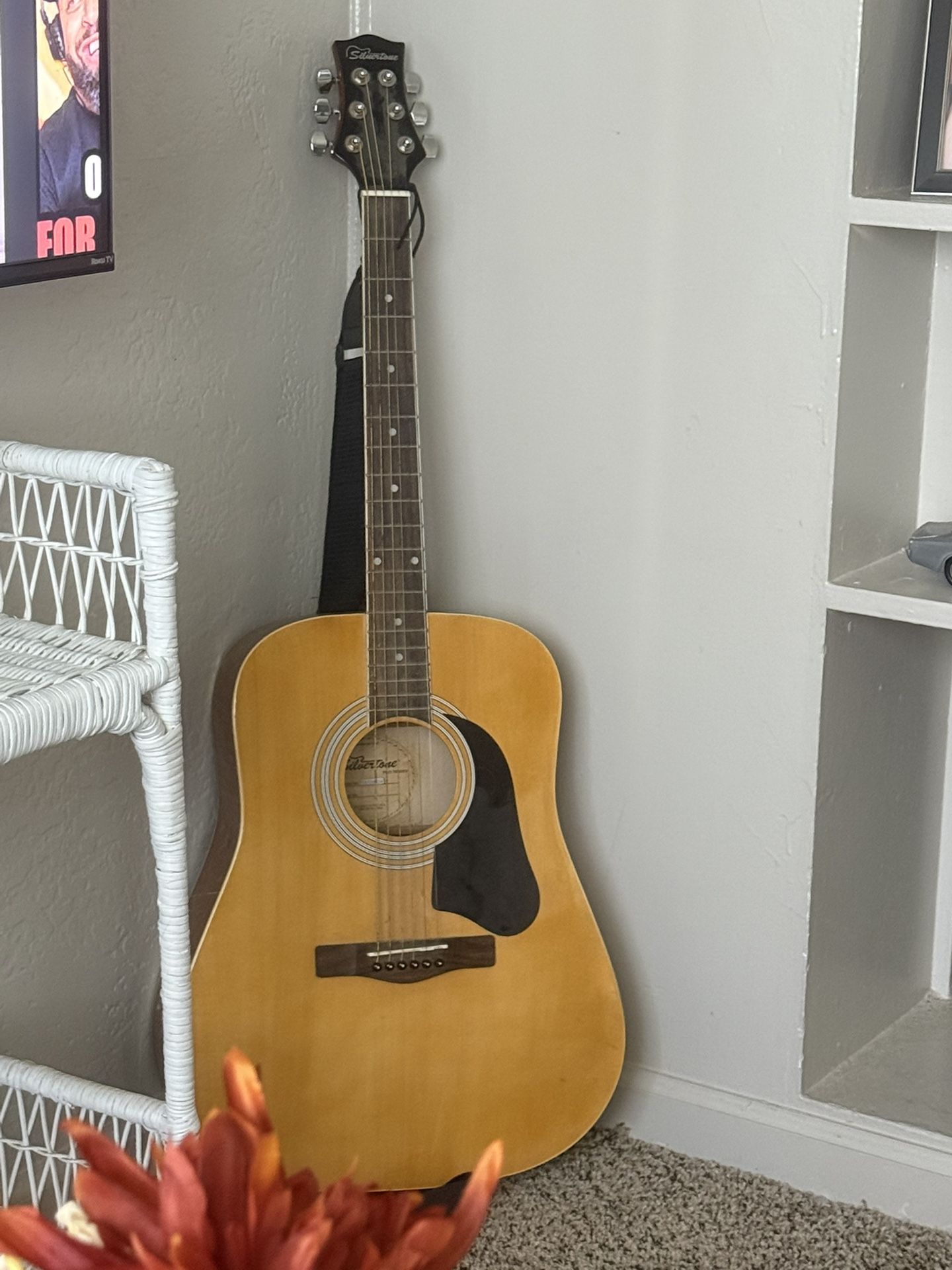 Silverstone Guitar