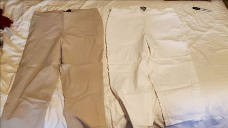 Size large women's stretch capris