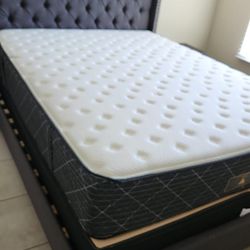 New Queen Mattress And Box Spring 2pc Bed Frame Is Not Included 