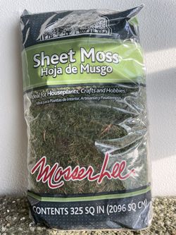 Sheet Moss