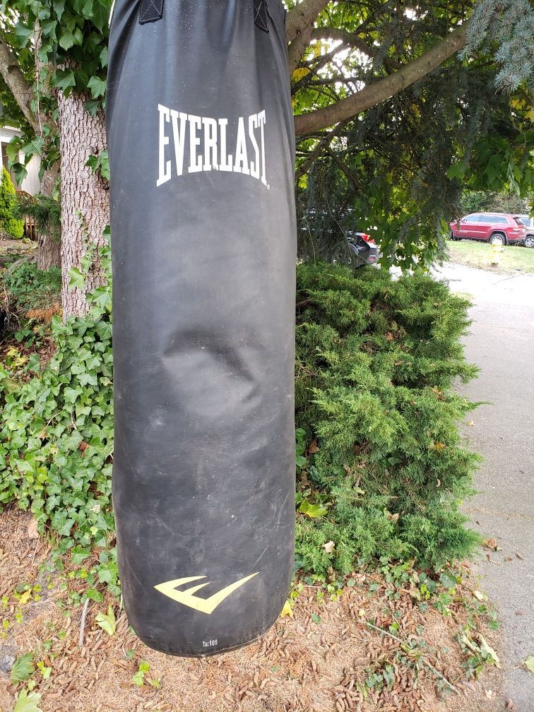 Everlast punching bag