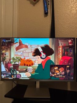 HP 21 inch Monitor