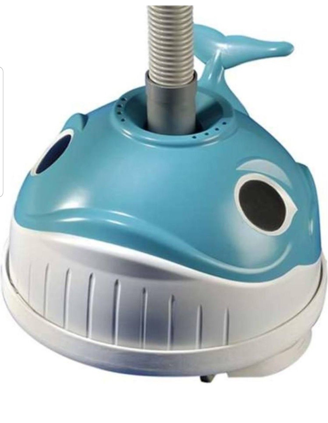 Hayward Pool Vacuum