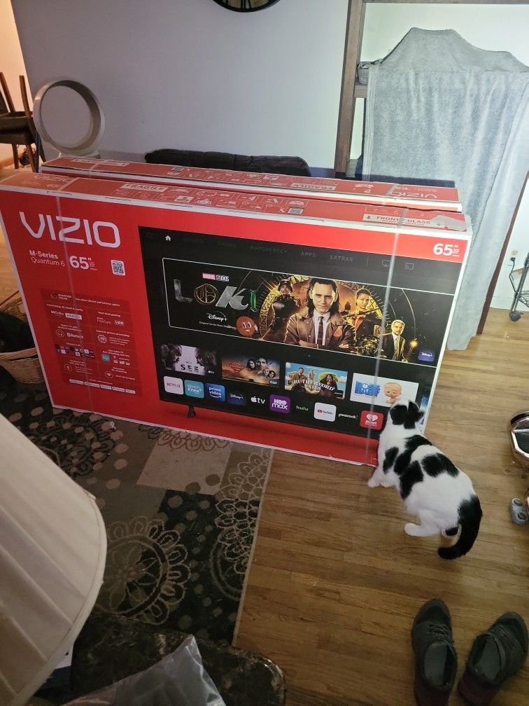 Vizio 65 Inch Smart TV 