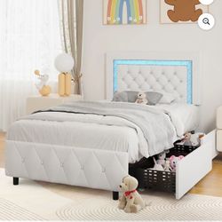 Twin Size LED Bed Frame with 2 Drawers