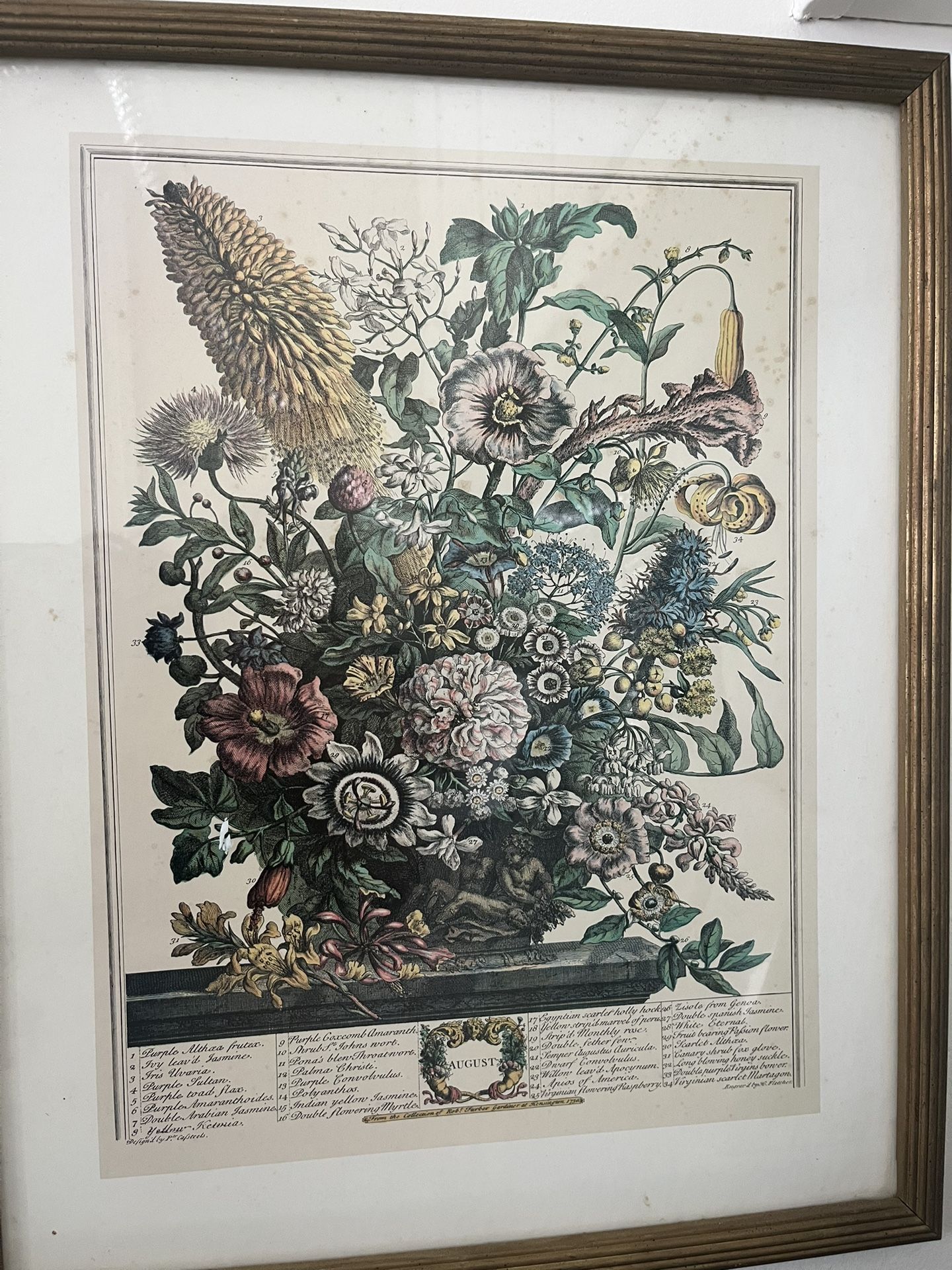 Vintage Framed Art