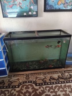 120 gallon double thick glass tank