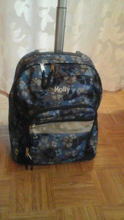 LL beans suitcase stroller