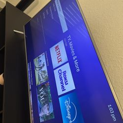 50in Vizio LCD TV