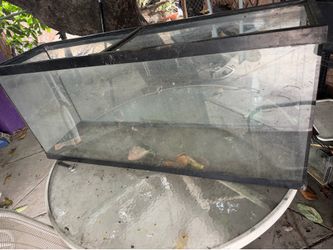75 gallon fish tank