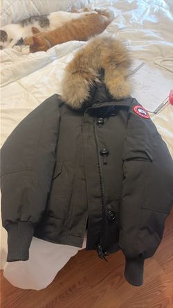 Canada Goose