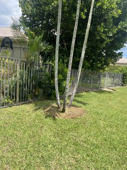 Landscaping Mulch & More