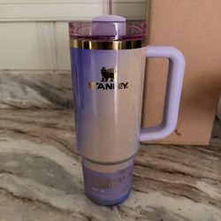 NEW Stanley Cup Wicked Glinda 30 Oz