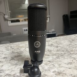 AKG 120 Condenser Mic 
