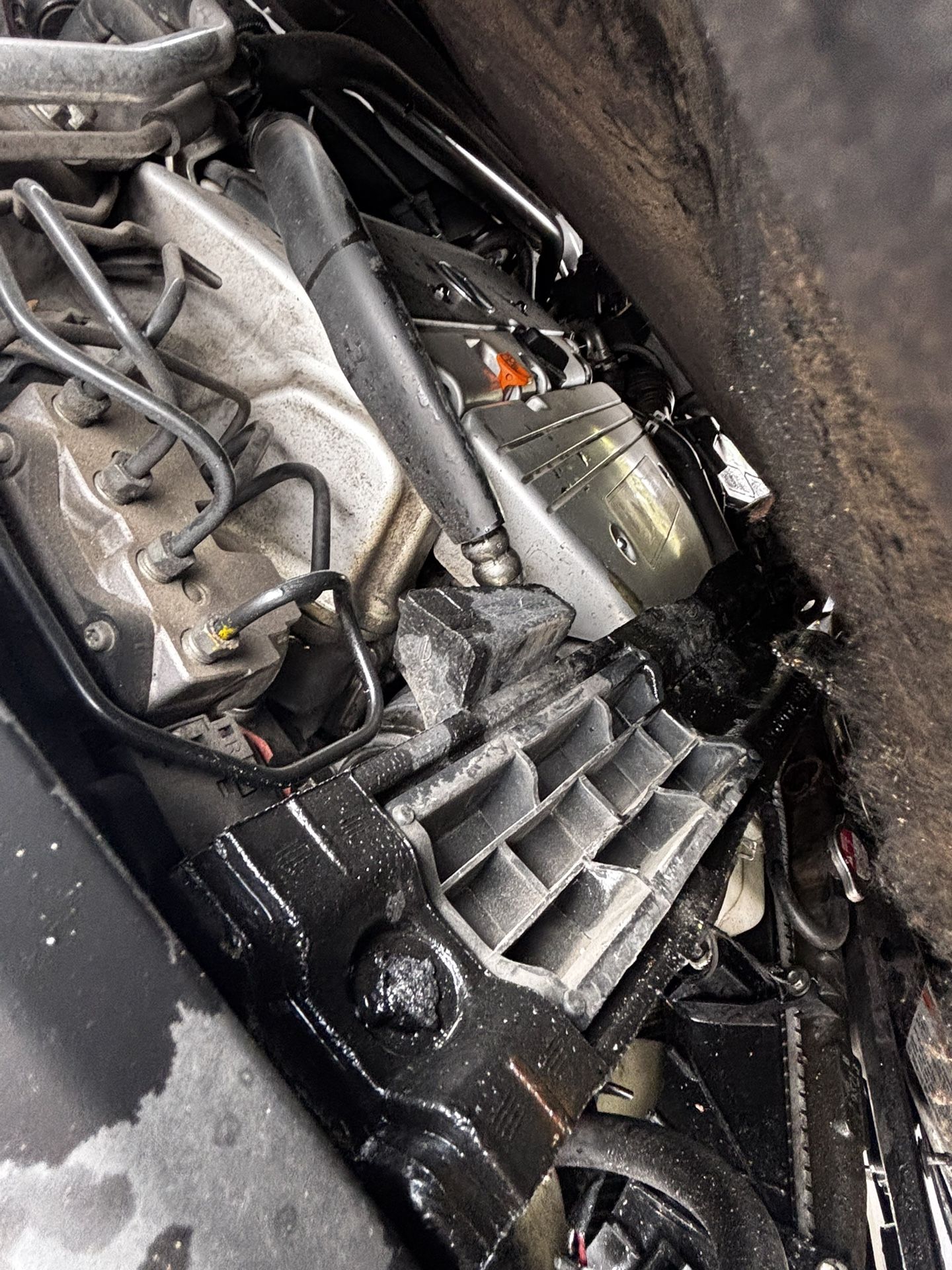2006 Acura TSX