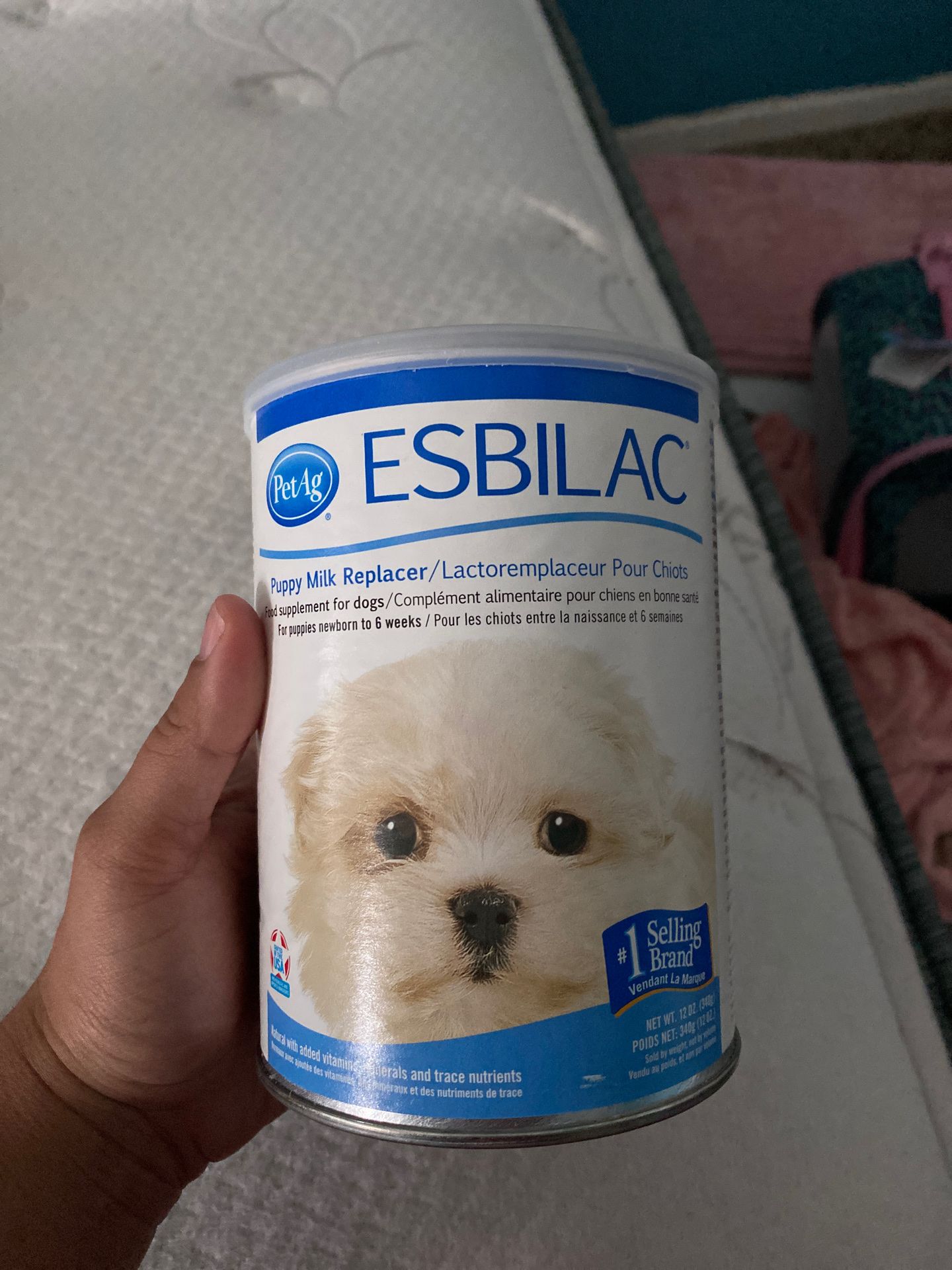 FREE Esbilac powder puppy formula