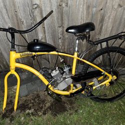 Motorized Cruiser Bicycle – PROJECT / AS-IS