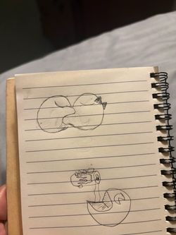 Weird sketch