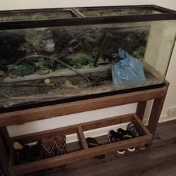 55 Gallon Fish Tank With Stand 