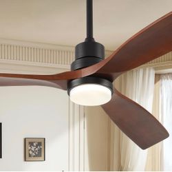 Ceiling Fan with Lights 