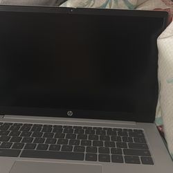 HP Chromebook ?