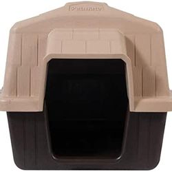 Dog House 