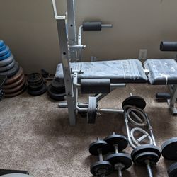 Weight Bench And Dumbells With Weights