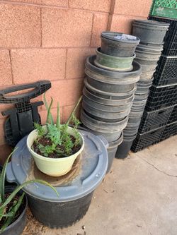 Plant buckets plastic containers many