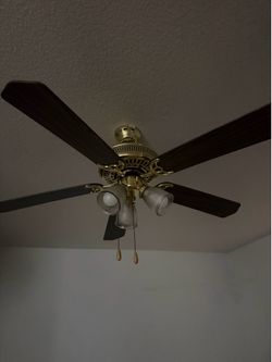 Ceiling light fan