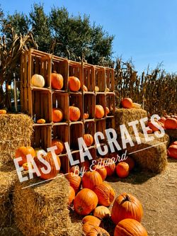 Rustic Wooden Crates for Party Decor, halloween parties, Baby Showers & Photo Shoots ($5)