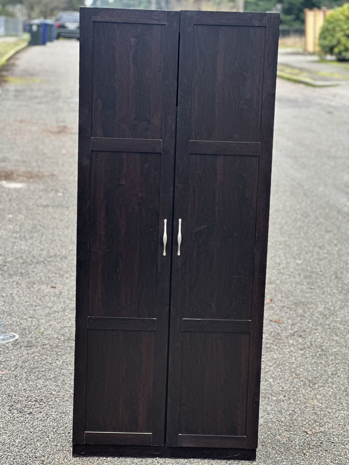 Espresso Color Cabinet With Doors And Shelves