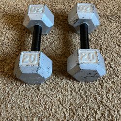 Two Twenty Pound Dumbbells.
