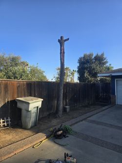 Tree w0rk (559)