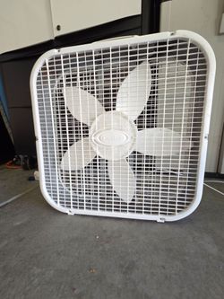 Fan