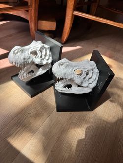 Dinosaur Skull Bookends