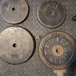 Weighted Plates 