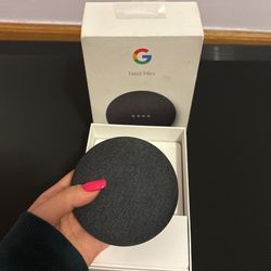 Google Nest Mini