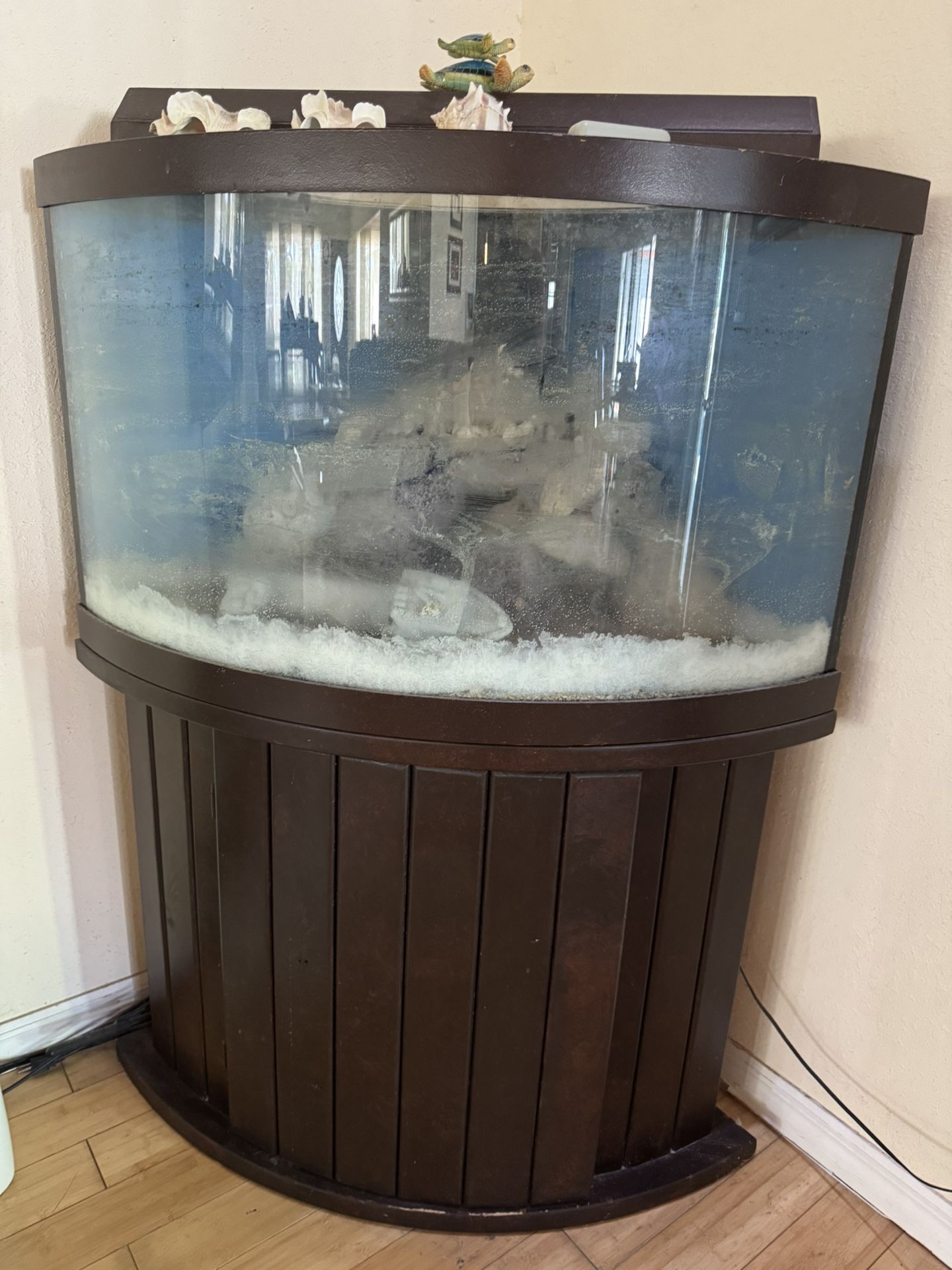 CORNER FISH TANK - Over 50 Gallons - Salt Water